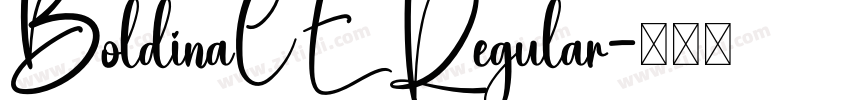 BoldinaCE Regular字体转换